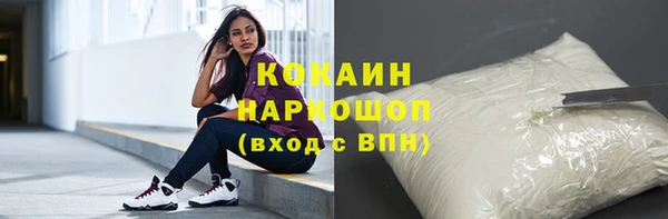 твердый Абаза