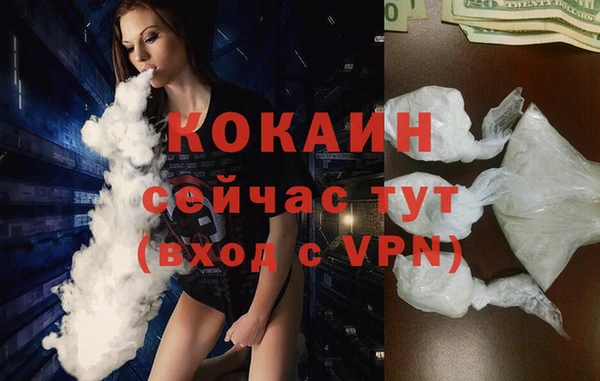 твердый Абаза