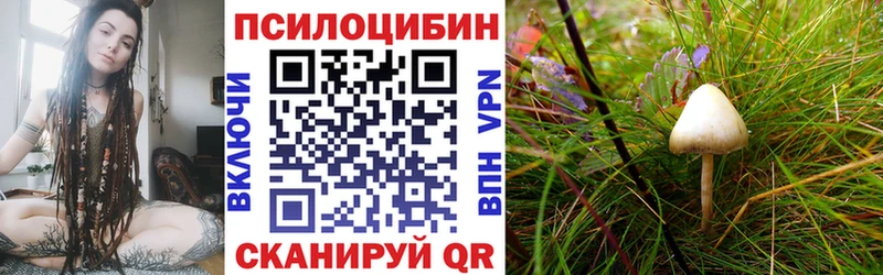 Псилоцибиновые грибы Magic Shrooms  хочу наркоту  Нерехта 